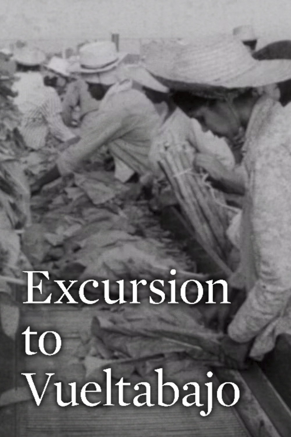 Excursion to Vueltabajo