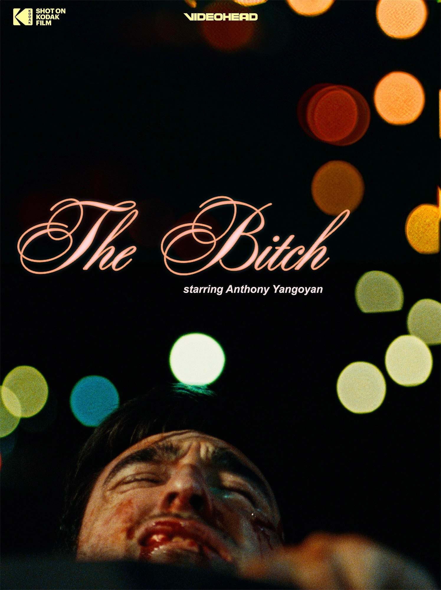 The Bitch