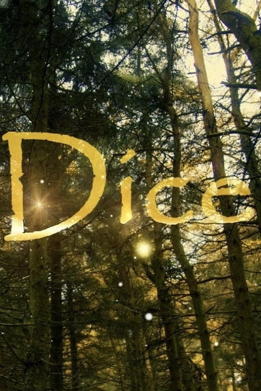 No dice