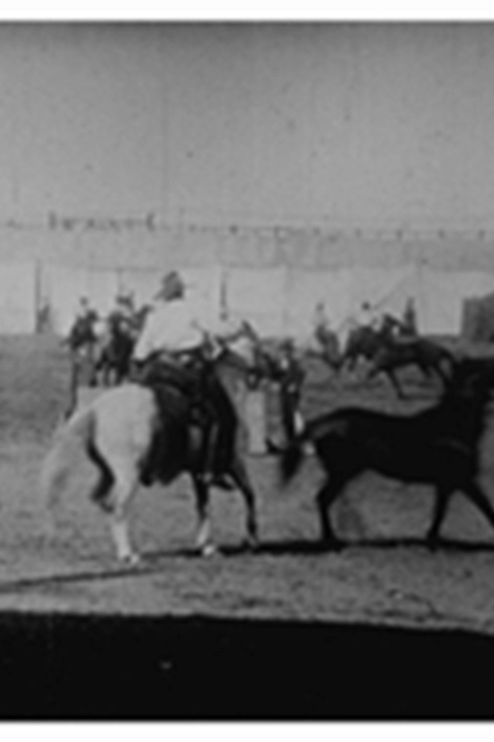Buffalo Bill: lassage de chevaux