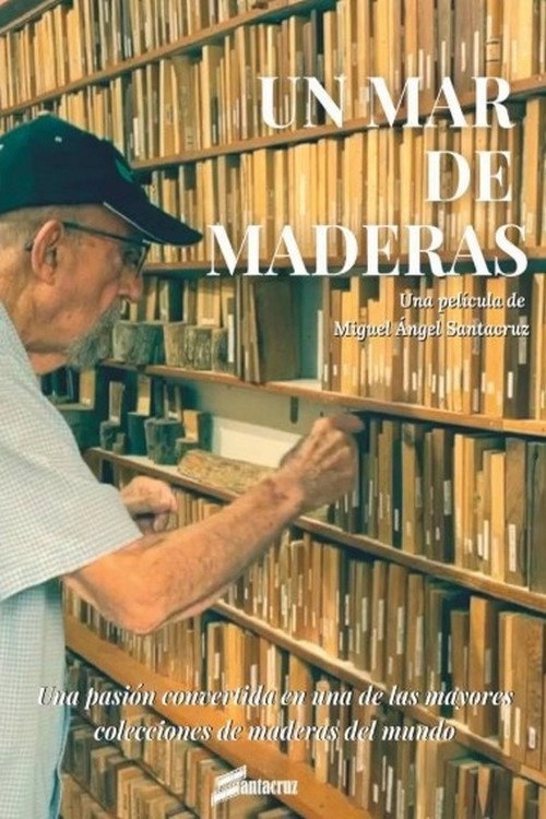 Un mar de maderas