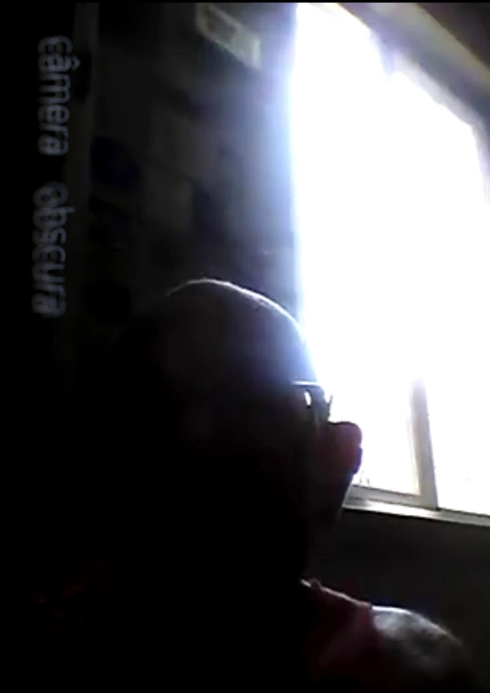 Câmera Obscura