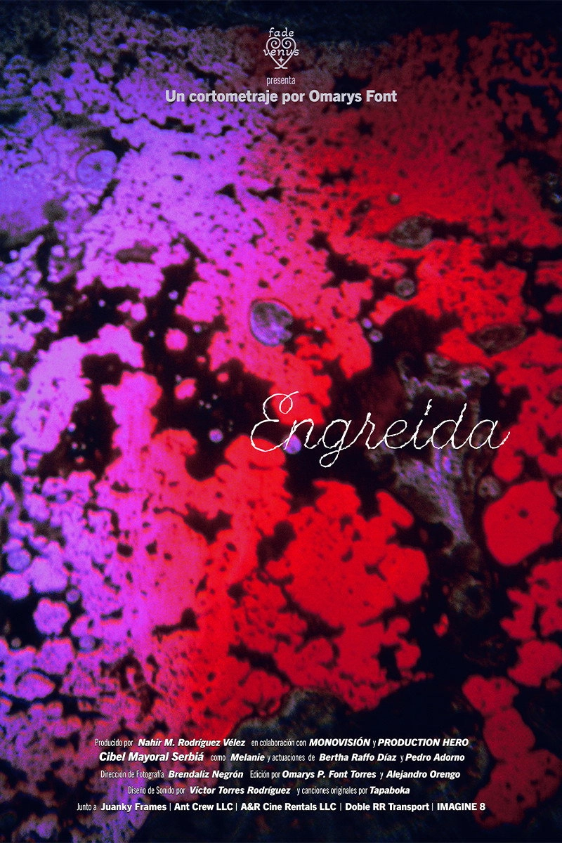 Engreída