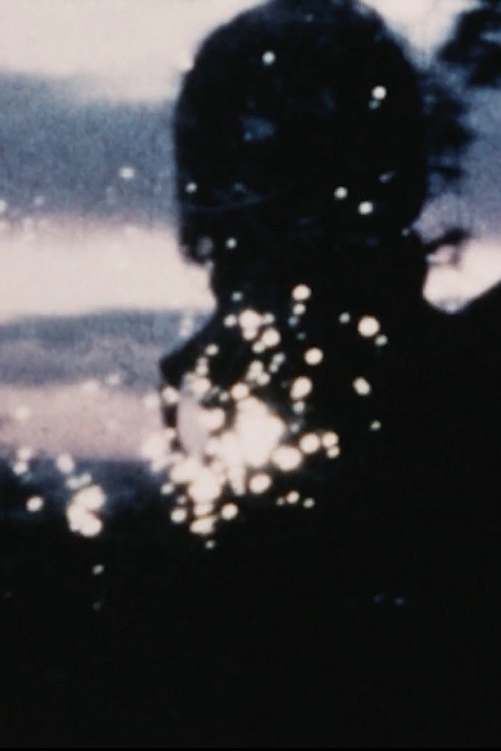 Films by Bob Branaman