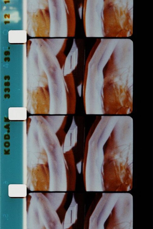Log Abstract 1986
