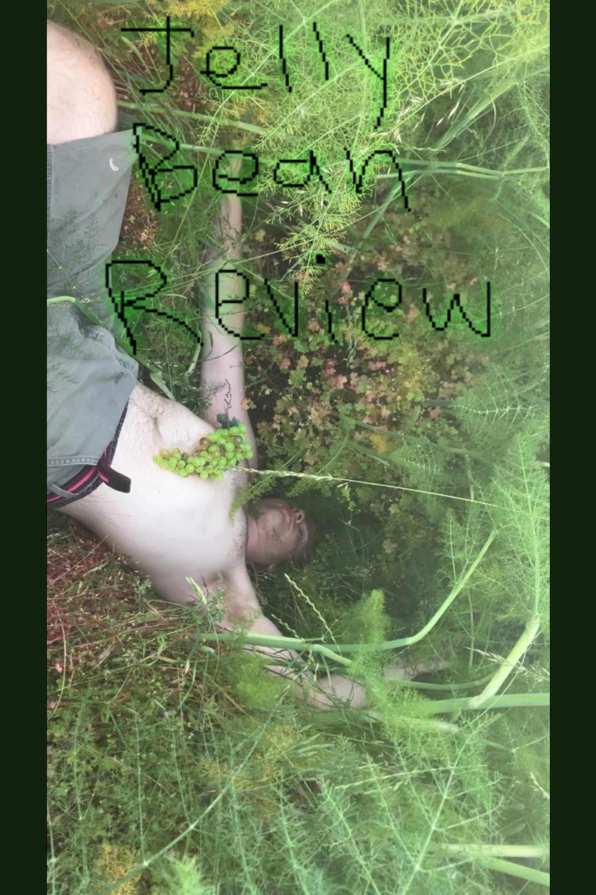 Jelly Bean Review