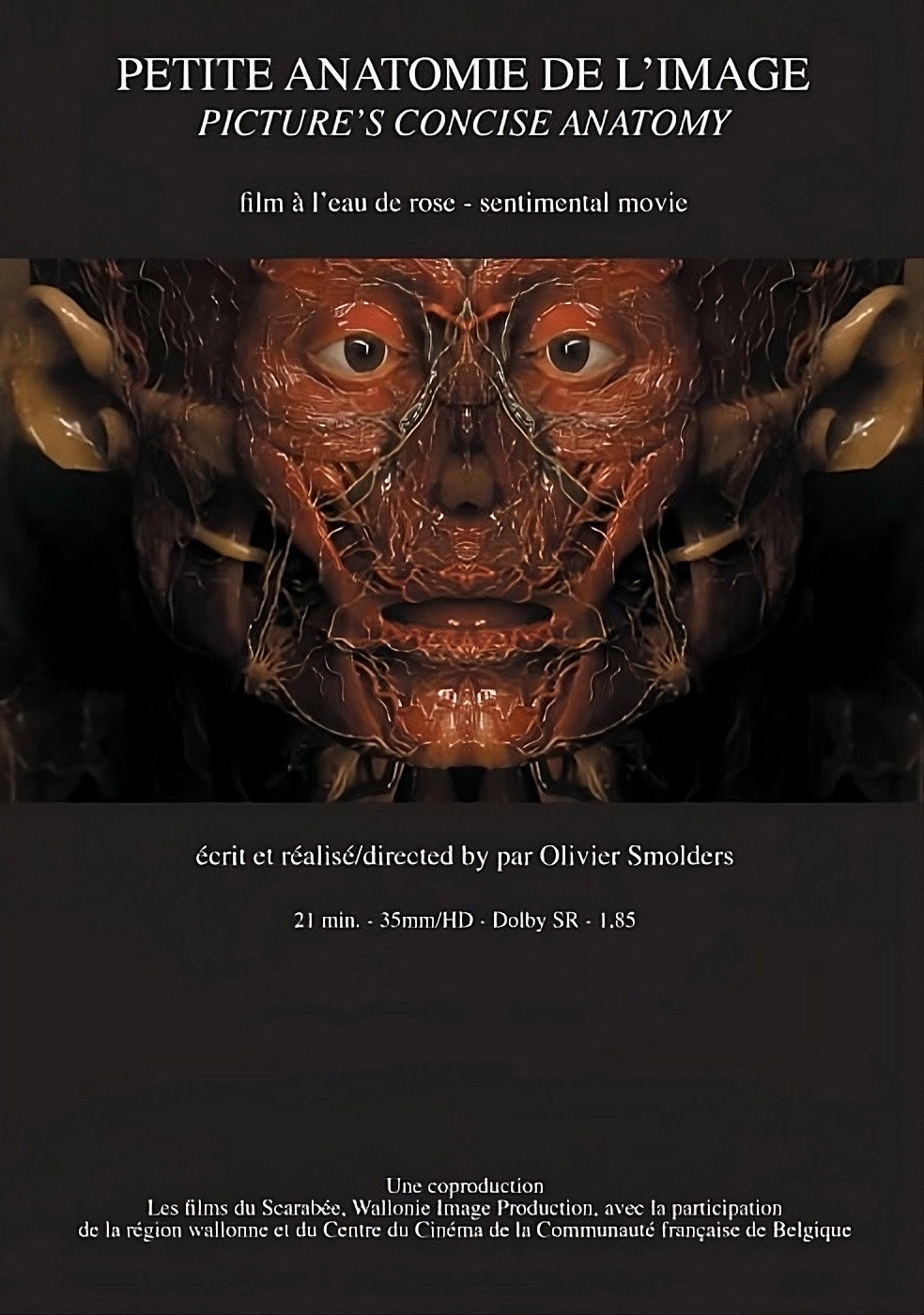 Petite anatomie de l'image