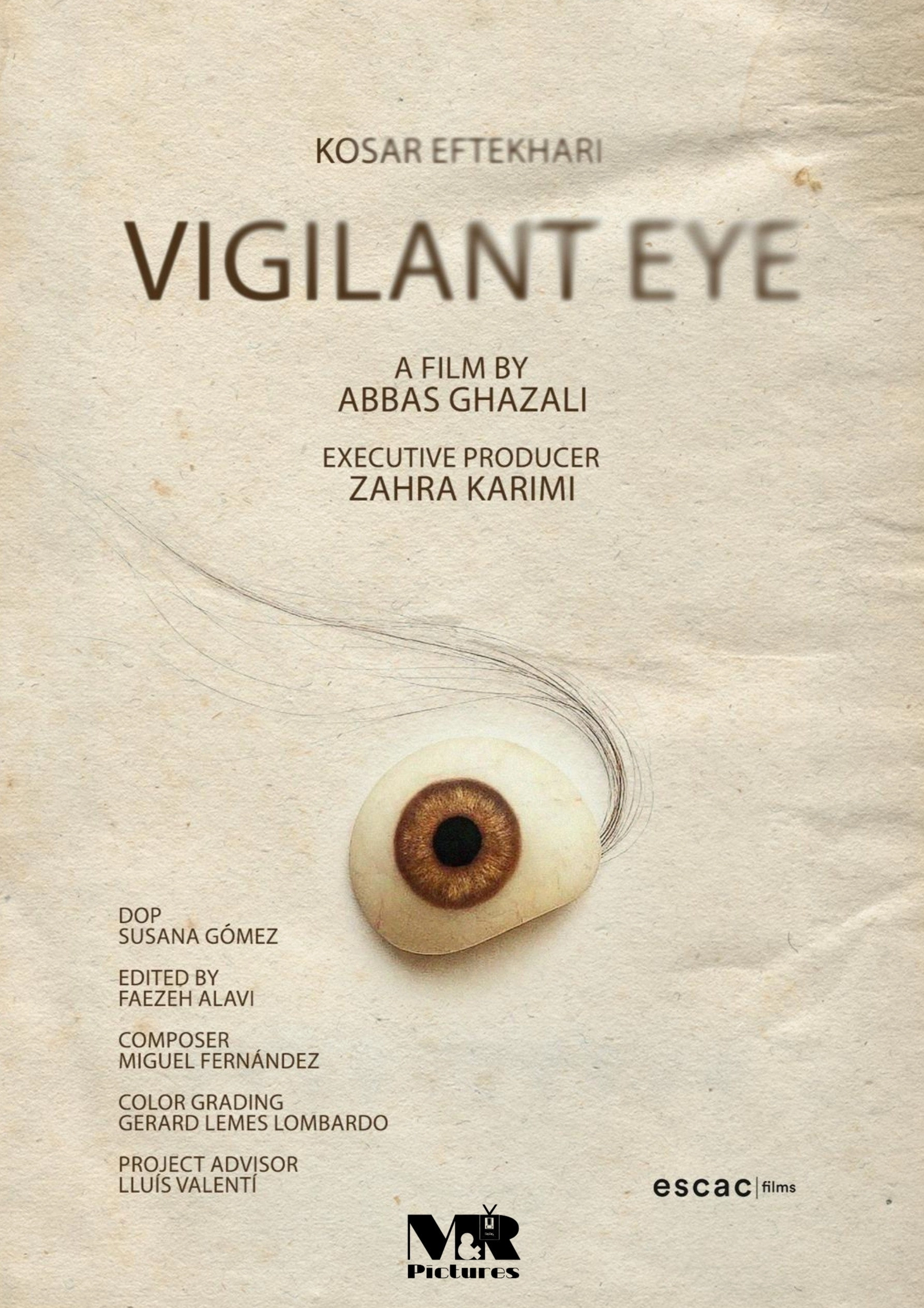 Vigilant Eye