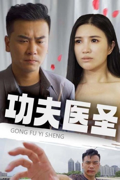 功夫医圣