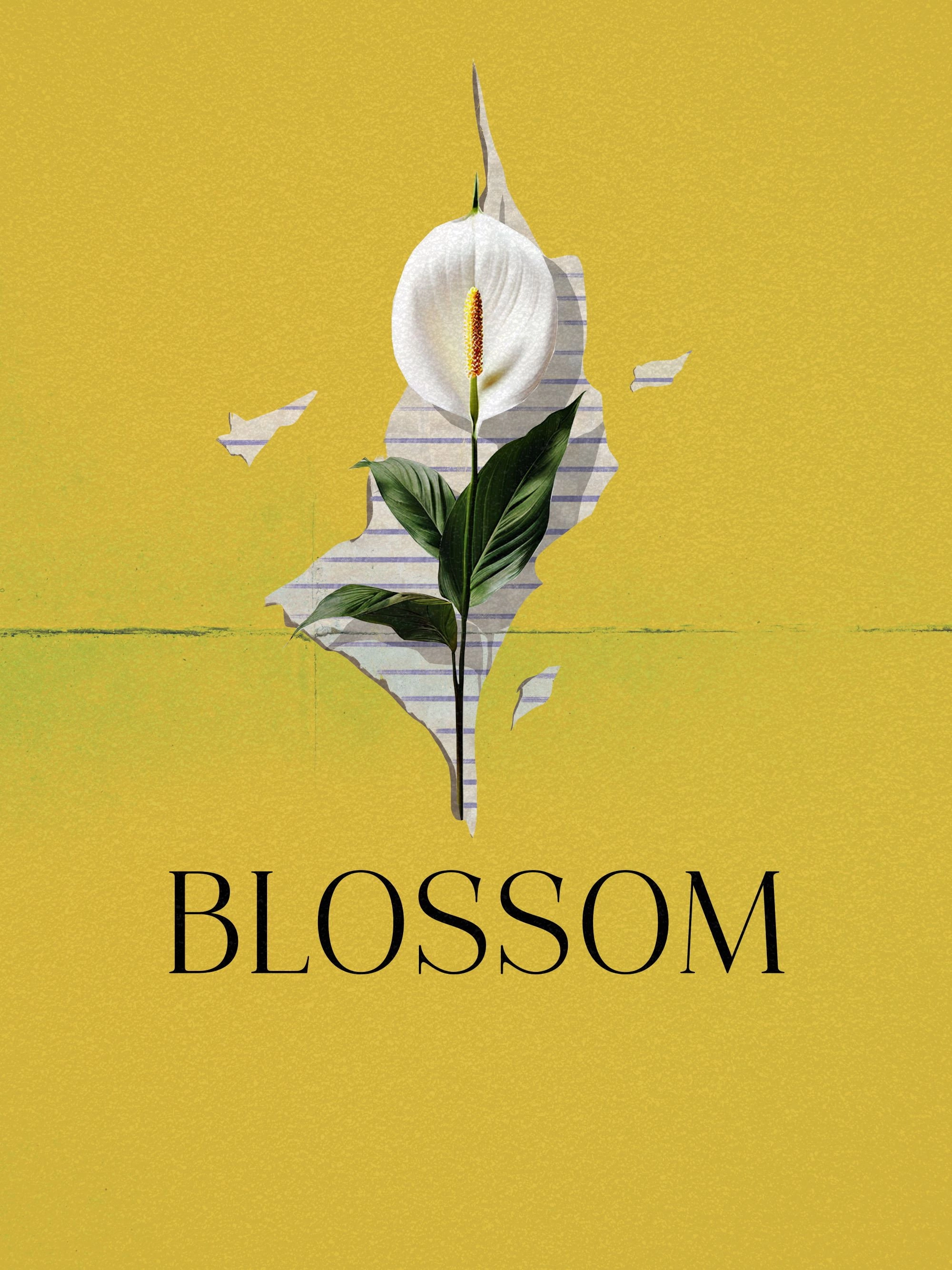 Blossom