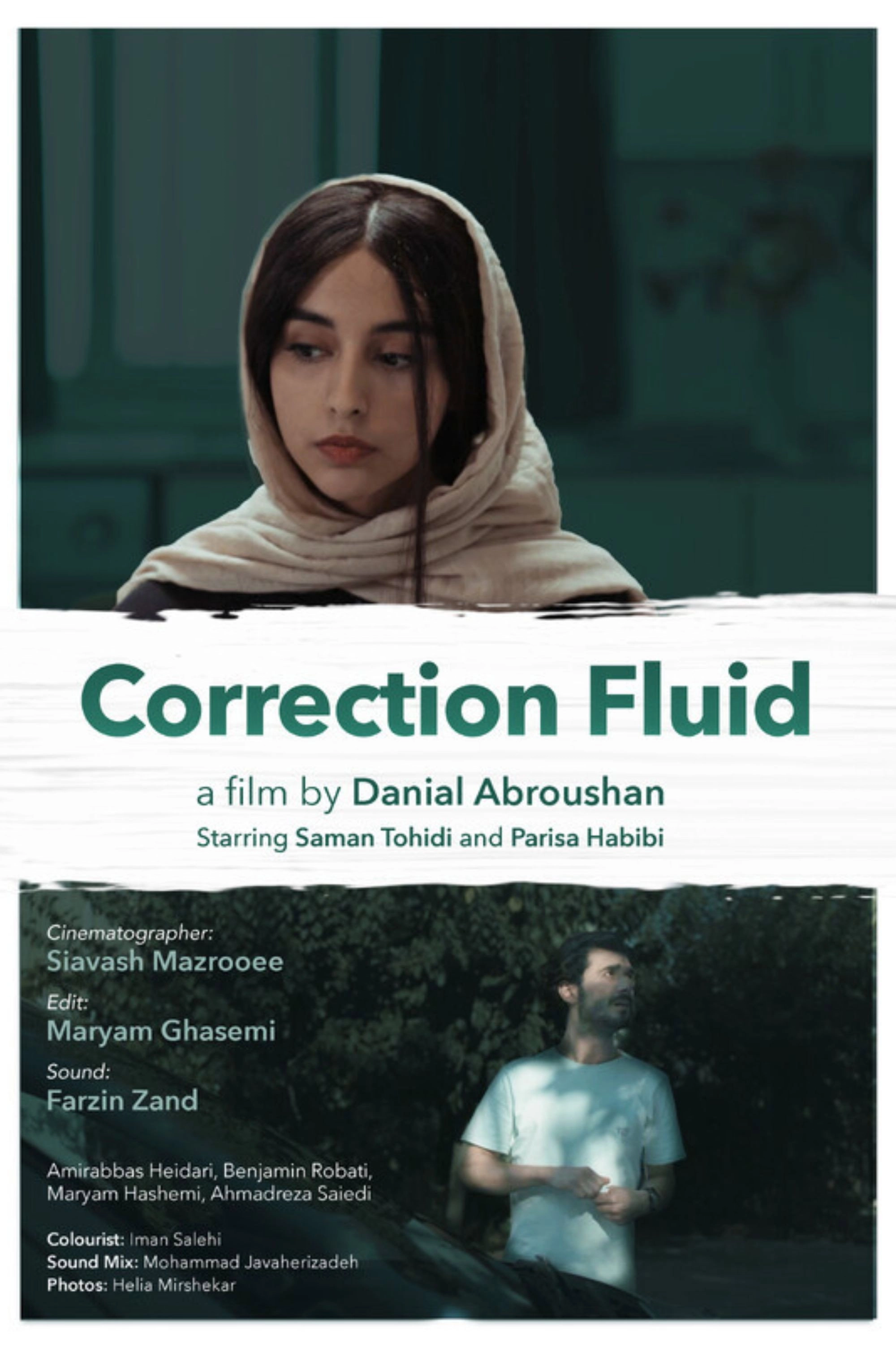 Correction Fluid