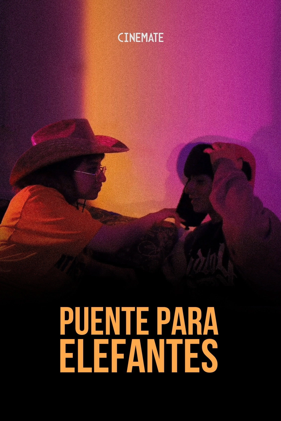 Puente Para Elefantes
