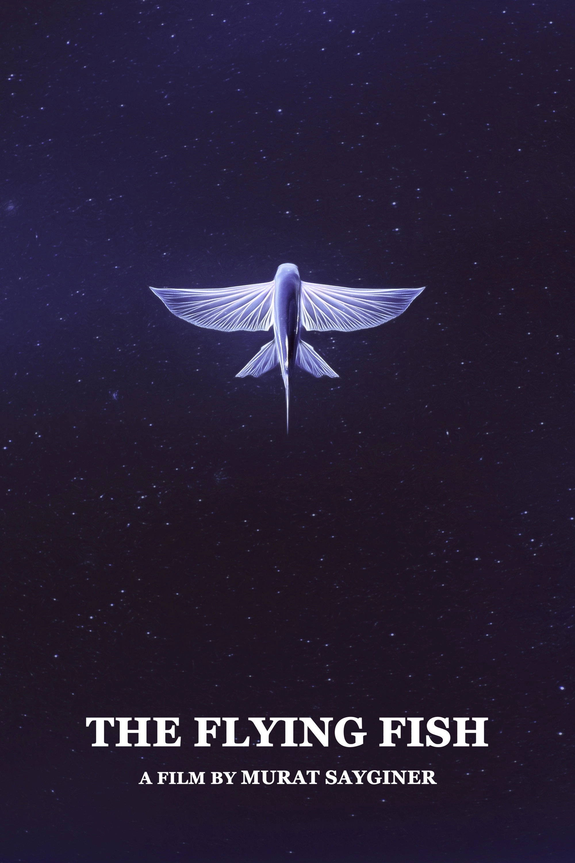 The Flying Fish