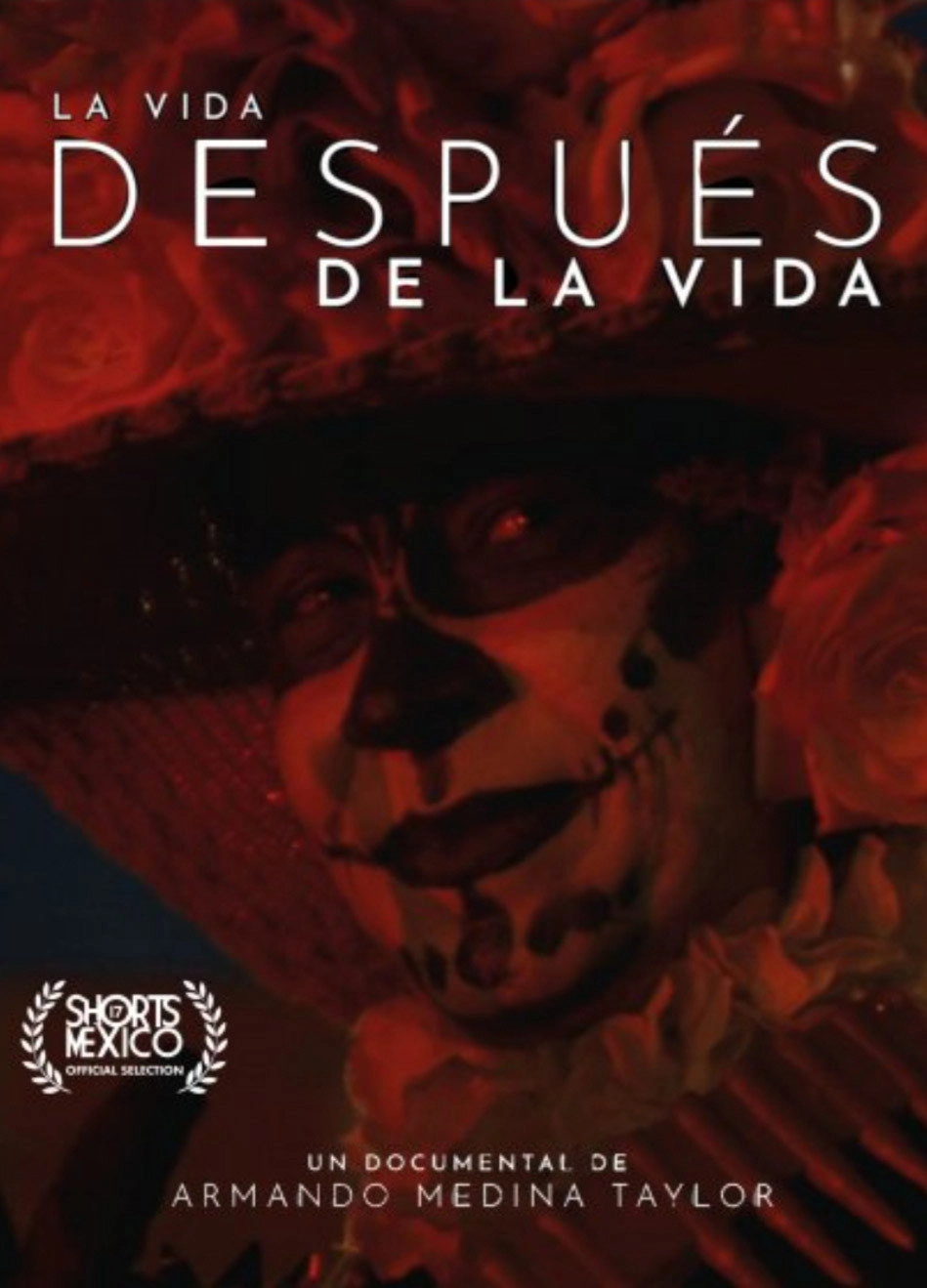 La Vida Después De La Vida