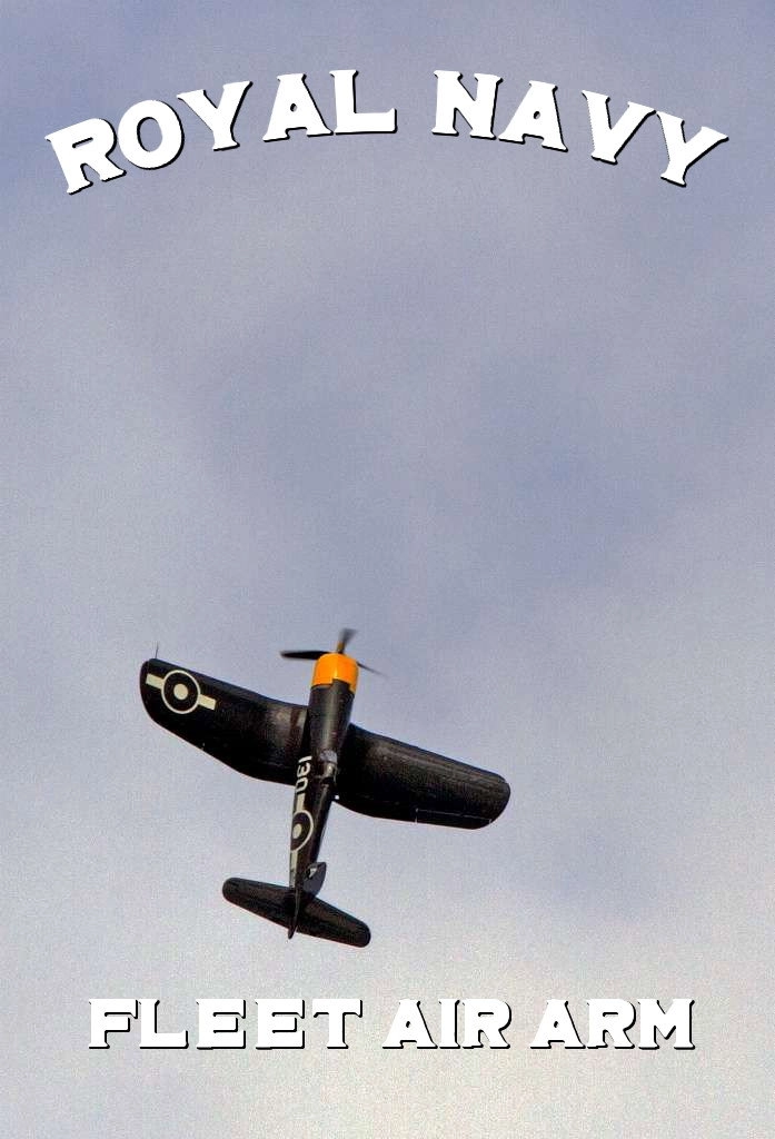Navy Pilots: Fleet Air Arm