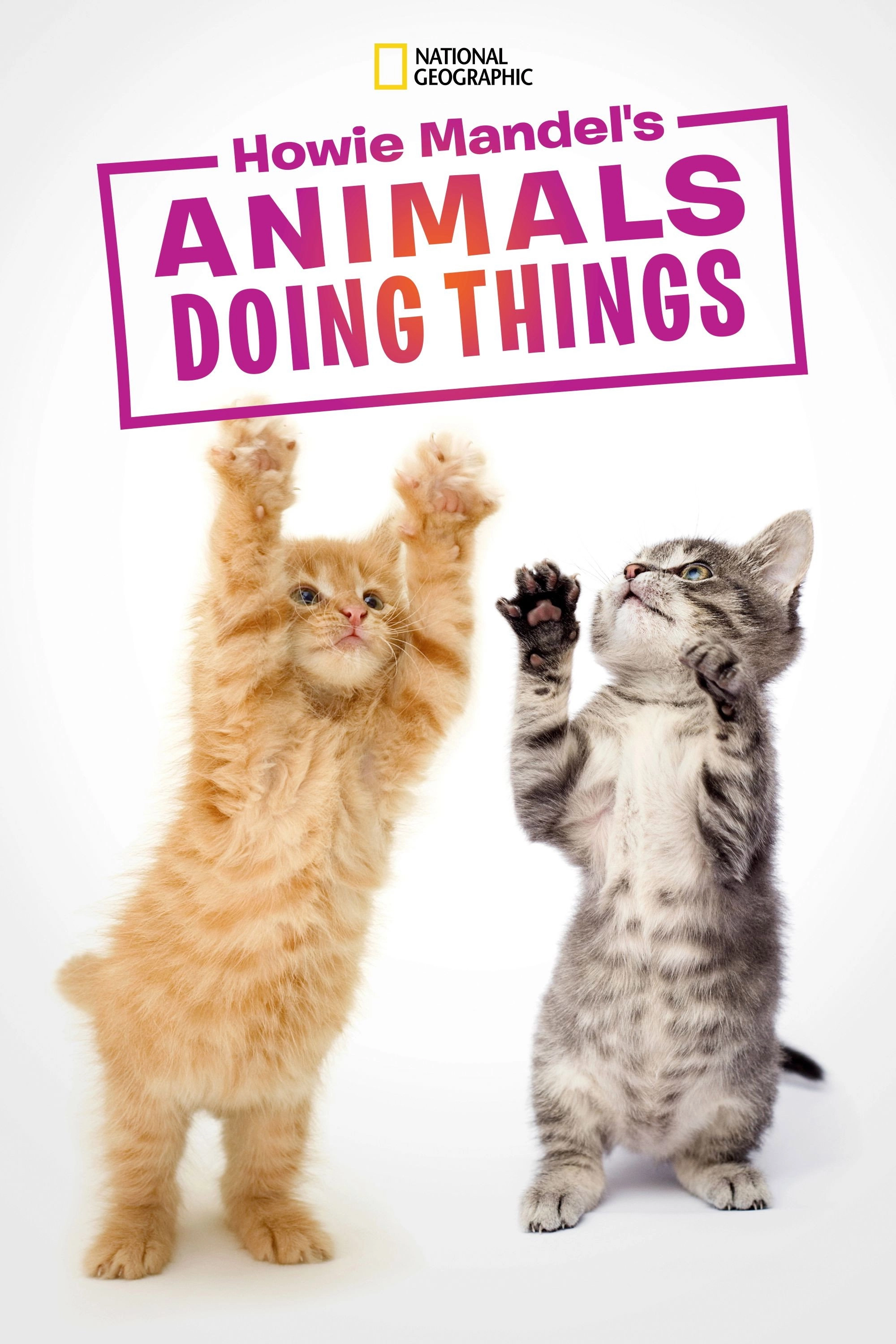 Howie Mandel's Animals Doing Things