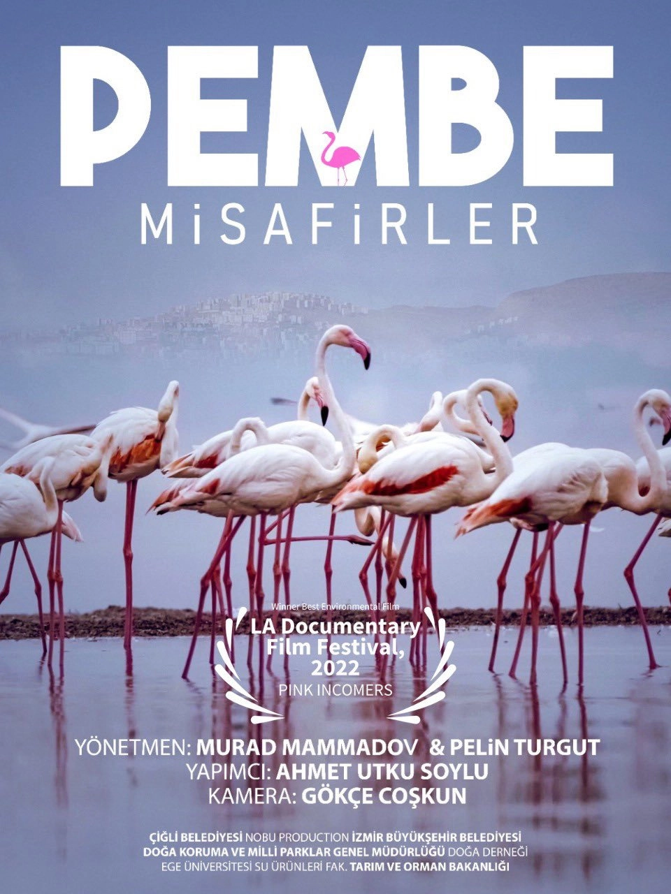Pembe Misafirler