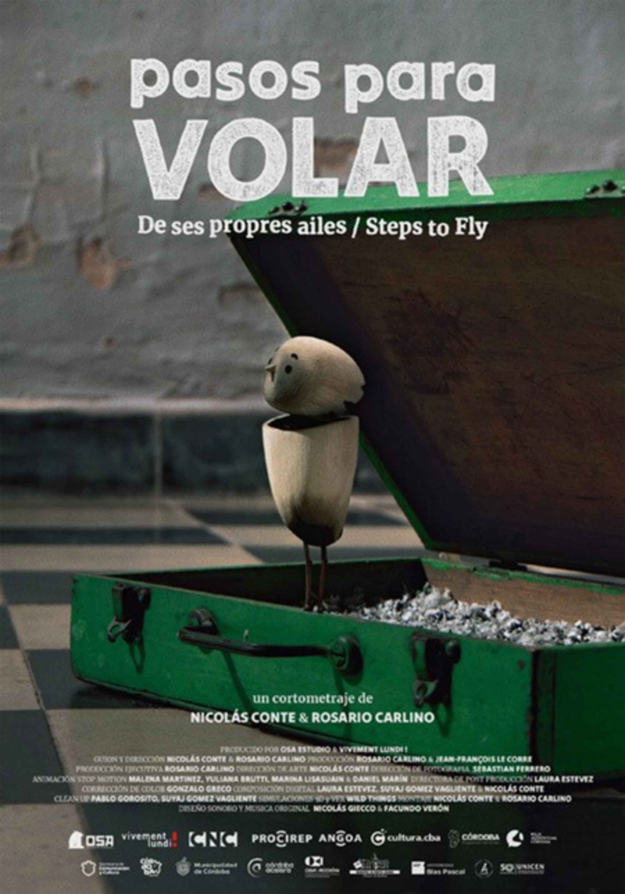 Steps to Fly
