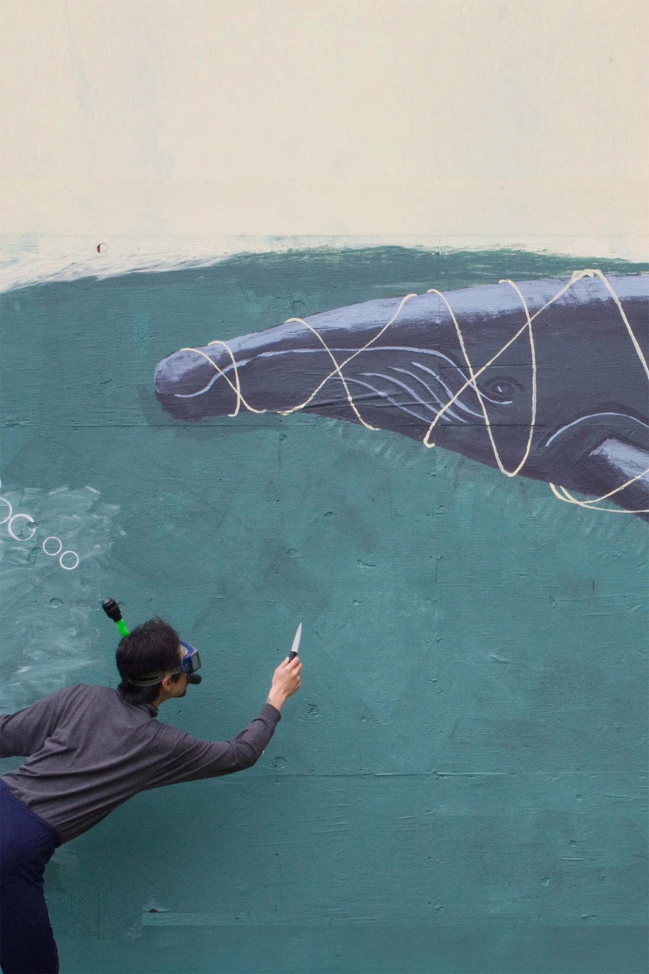 The Whale Story