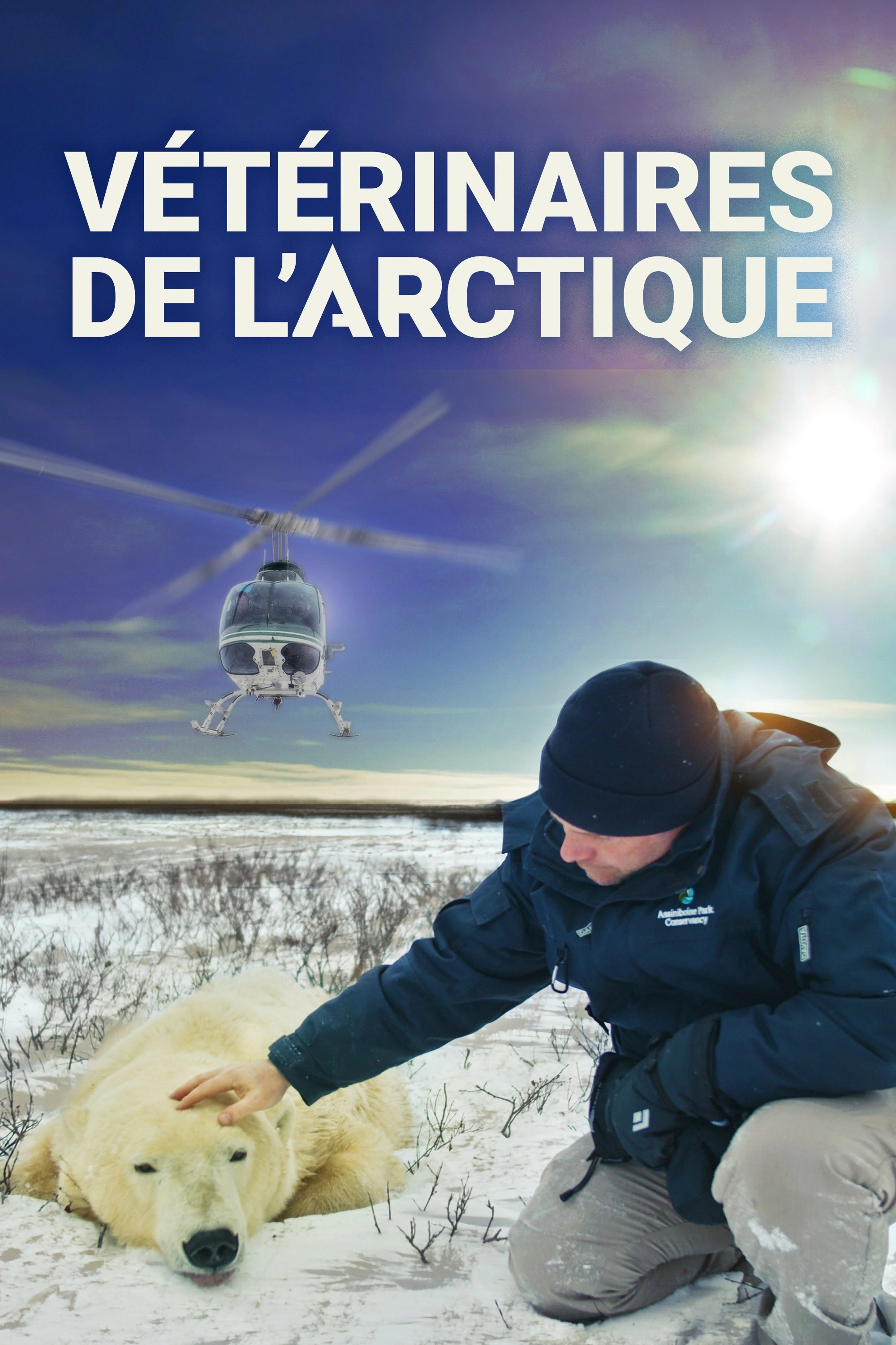 Arctic Vets