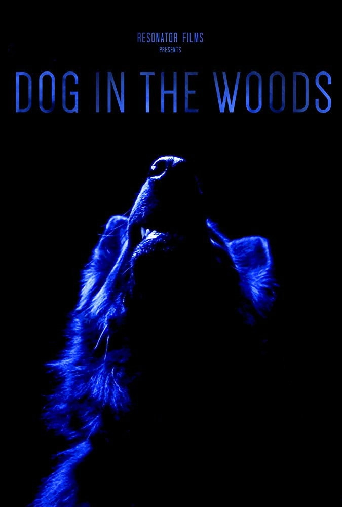 Dog in the Woods
