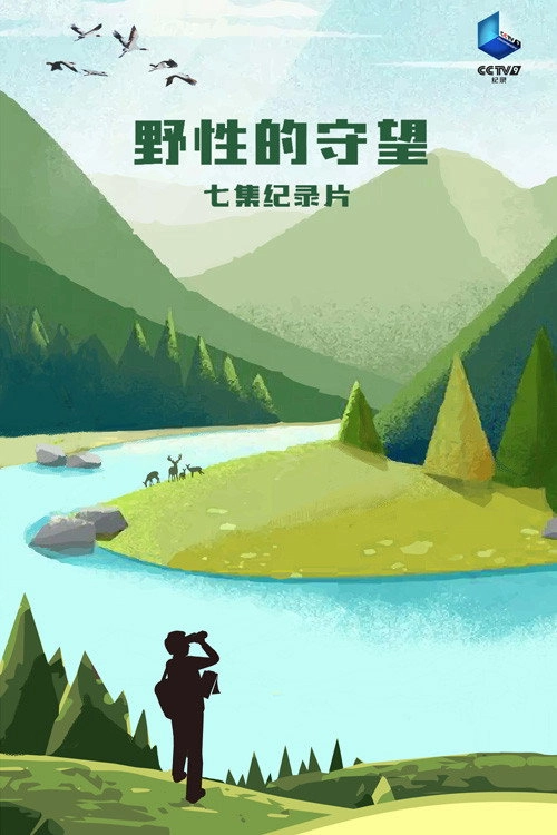 野性的守望