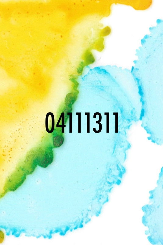 04111311
