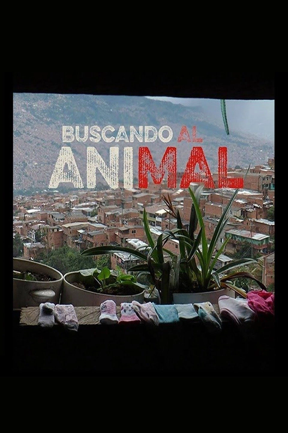 Searching for the Animal
