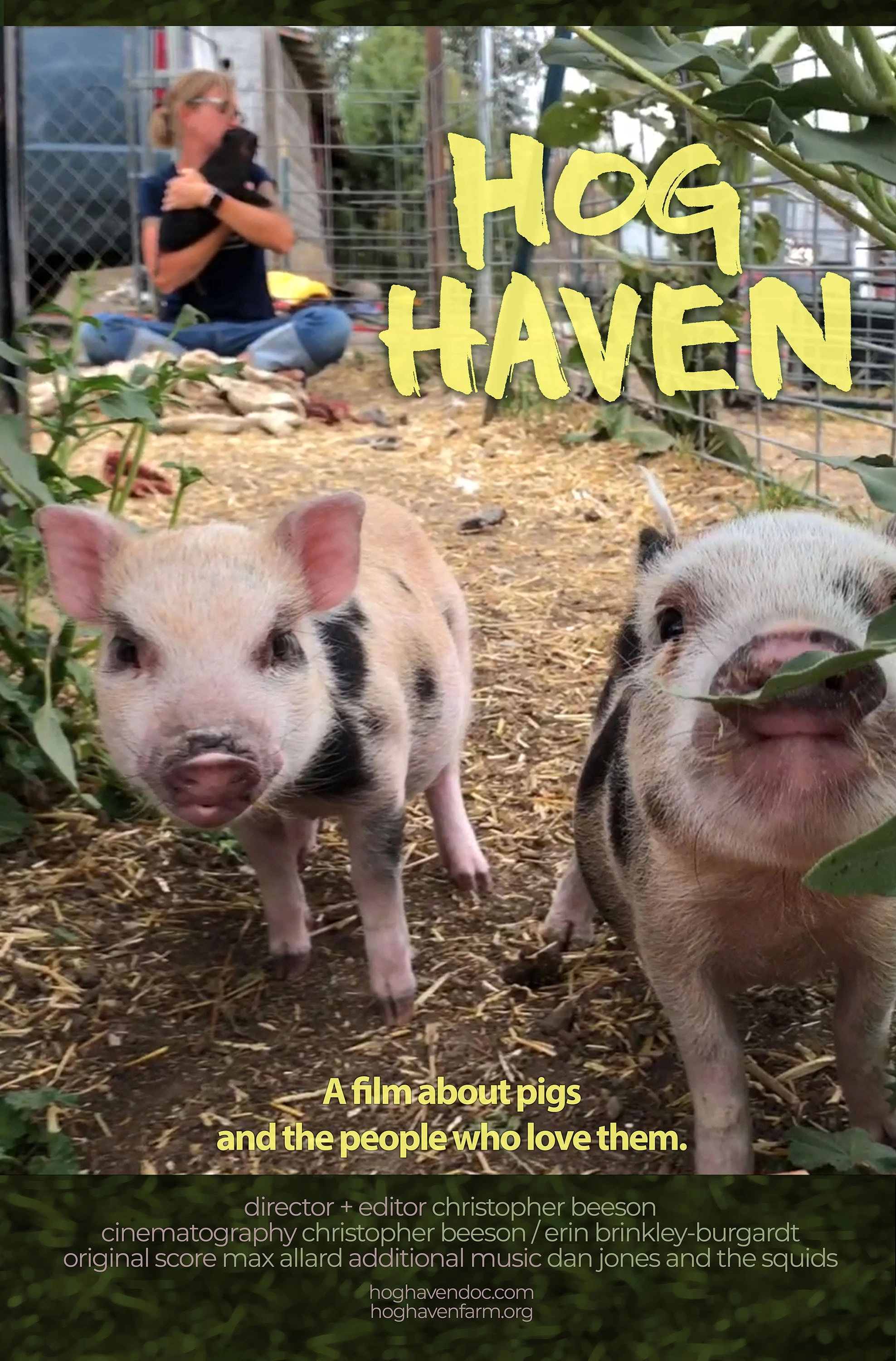 Hog Haven