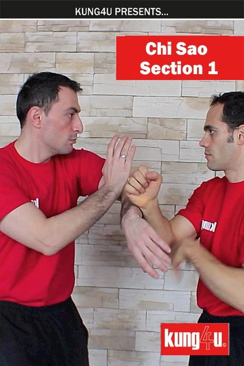 Kung4U Chi Sao - Section 1