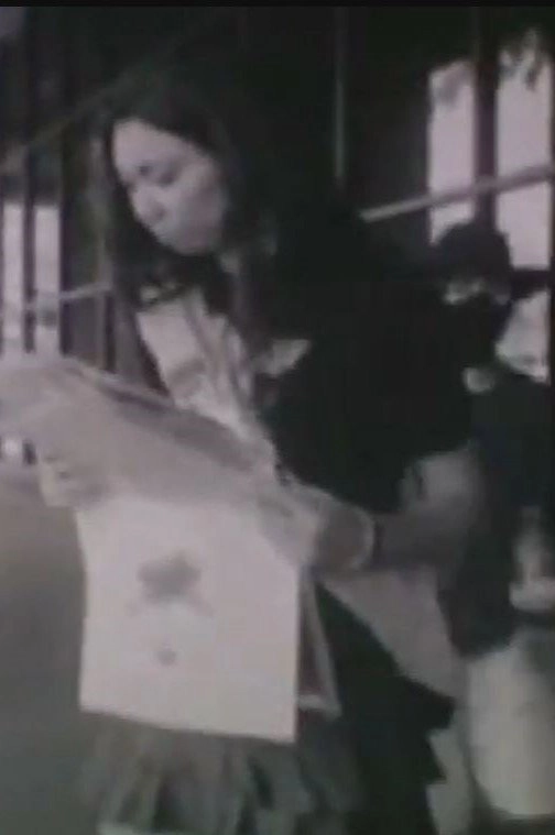 The Great Newspaper Robbery