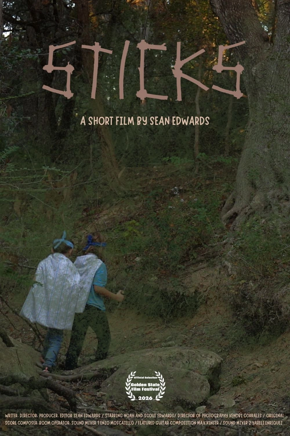 Sticks