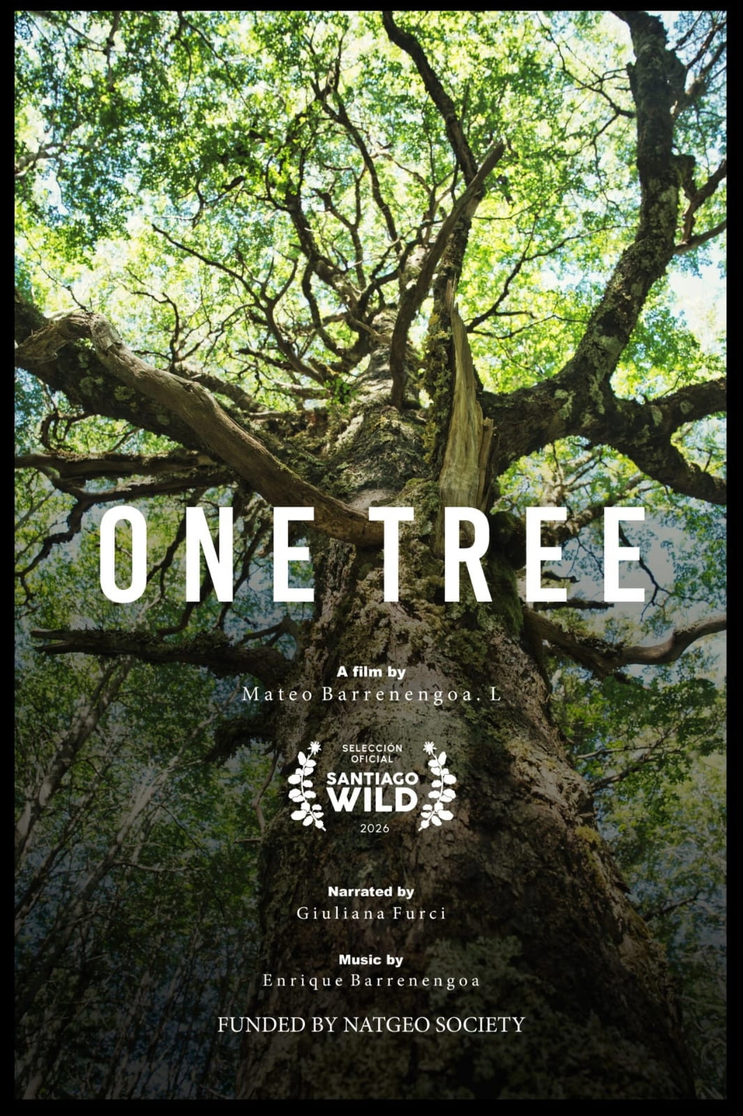 Un Árbol