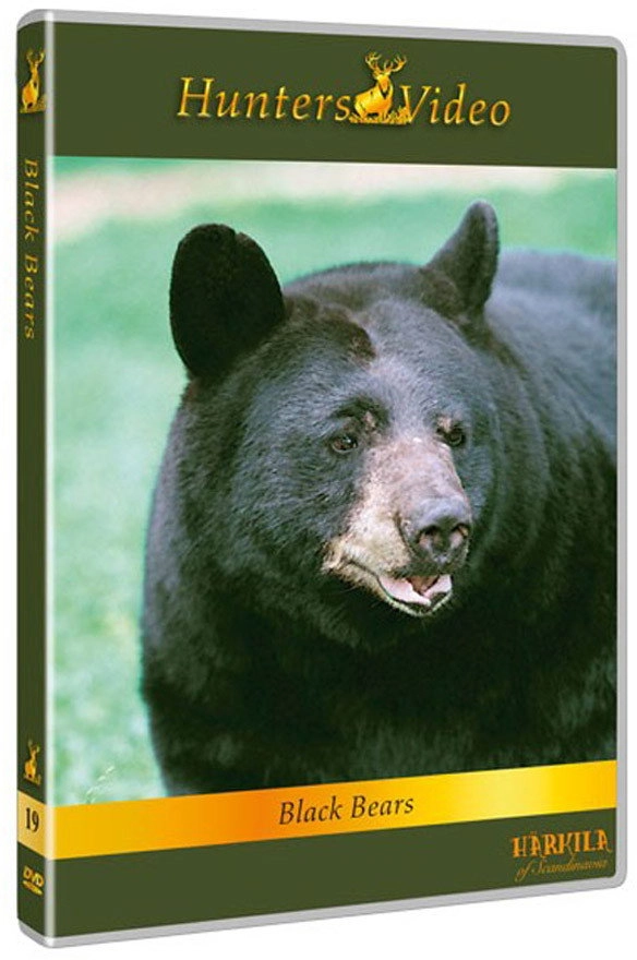 Black Bears