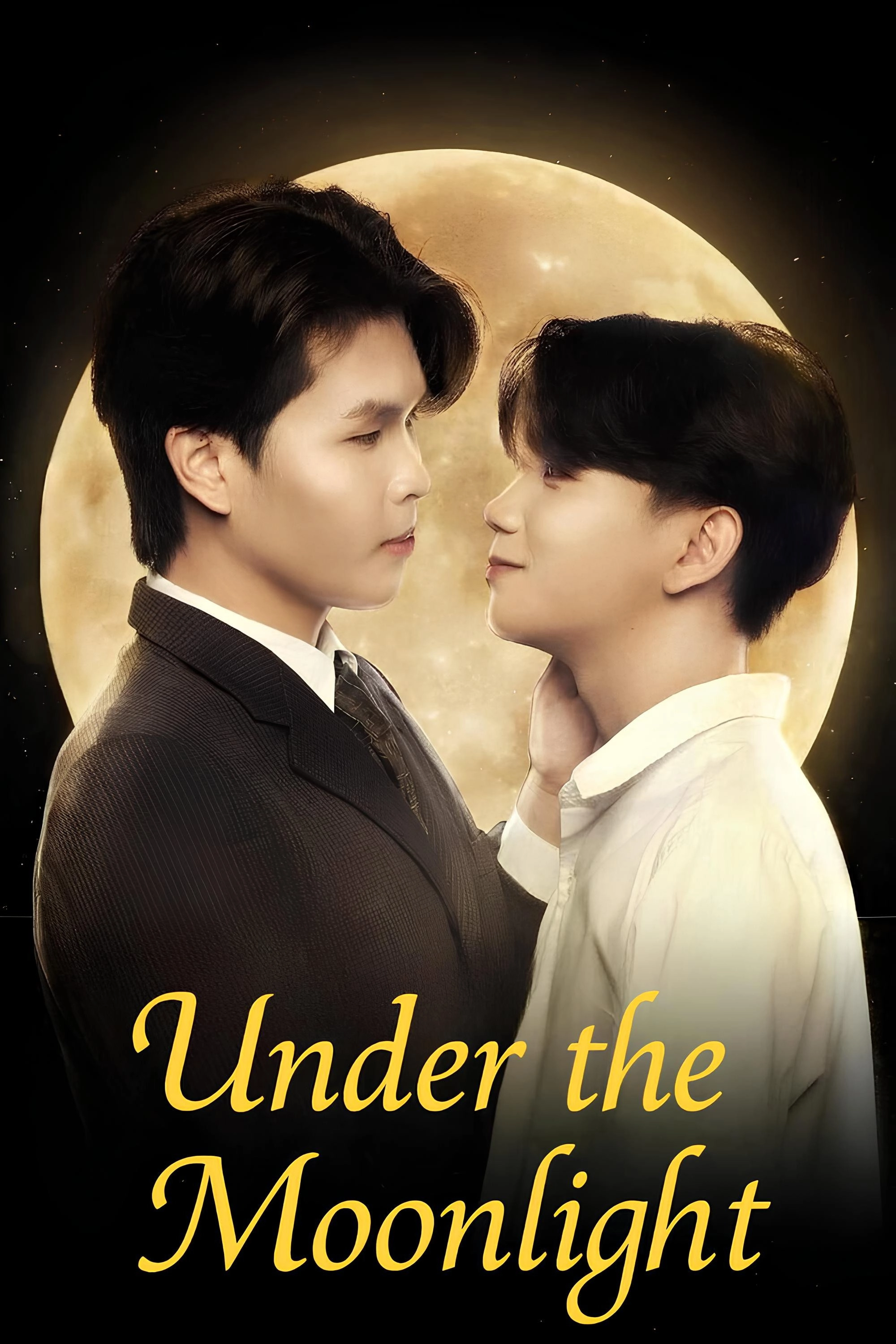 Under the Moonlight