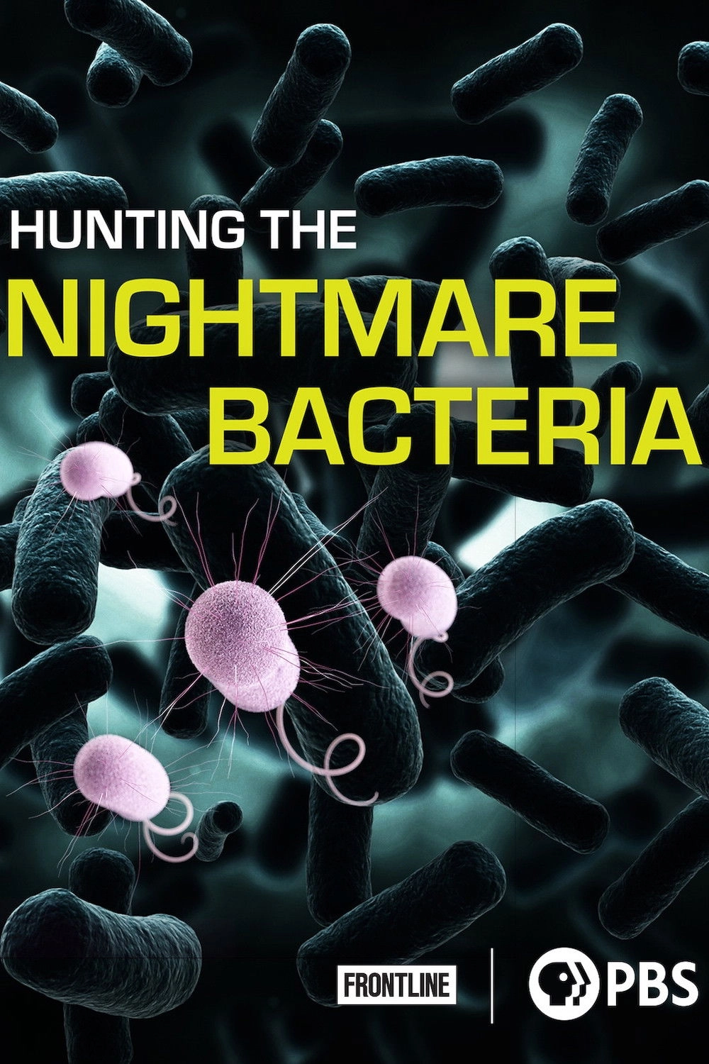 Hunting The Nightmare Bacteria