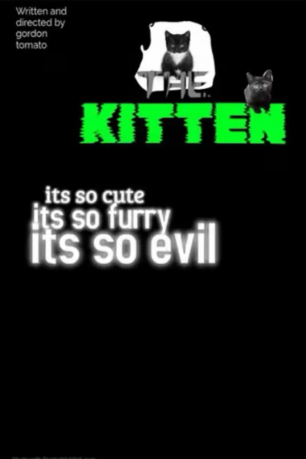 the kitten