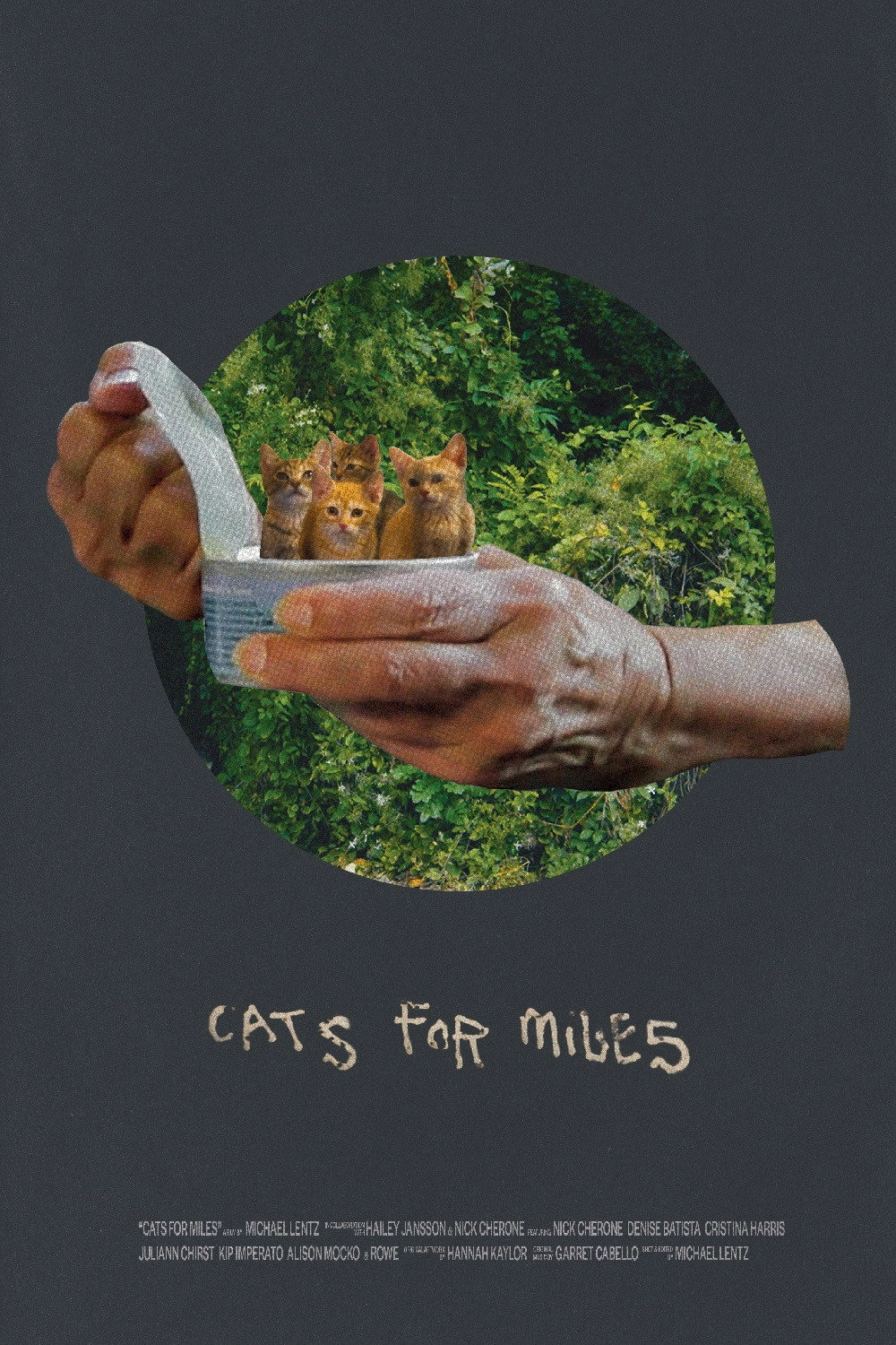 Cats for Miles