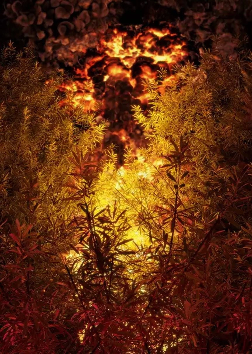 Firewalk
