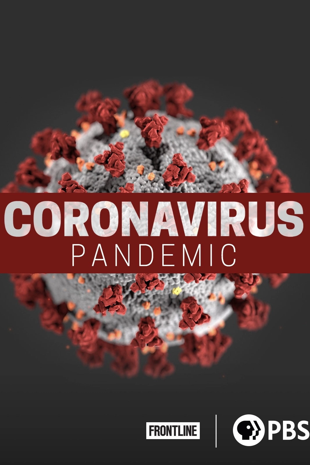Coronavirus Pandemic