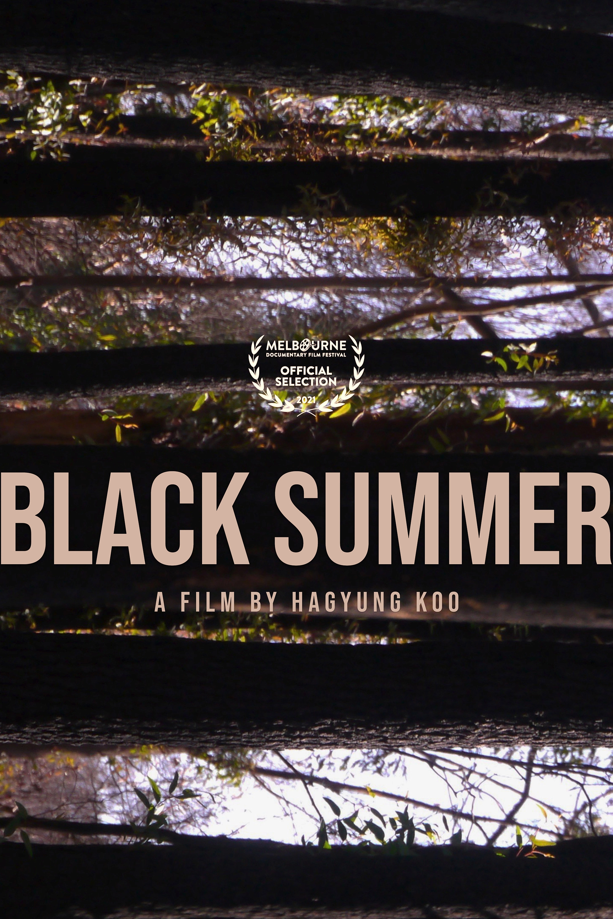 Black Summer