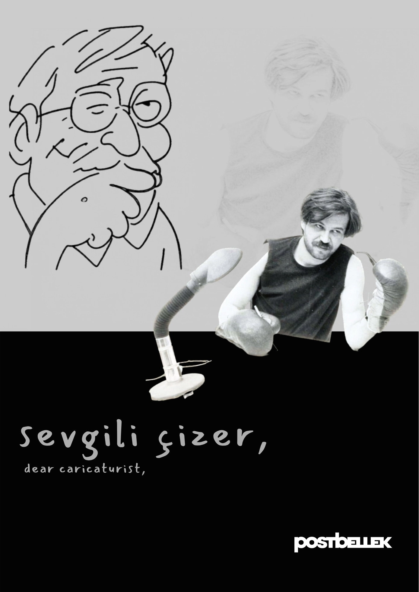 dear caricaturist,