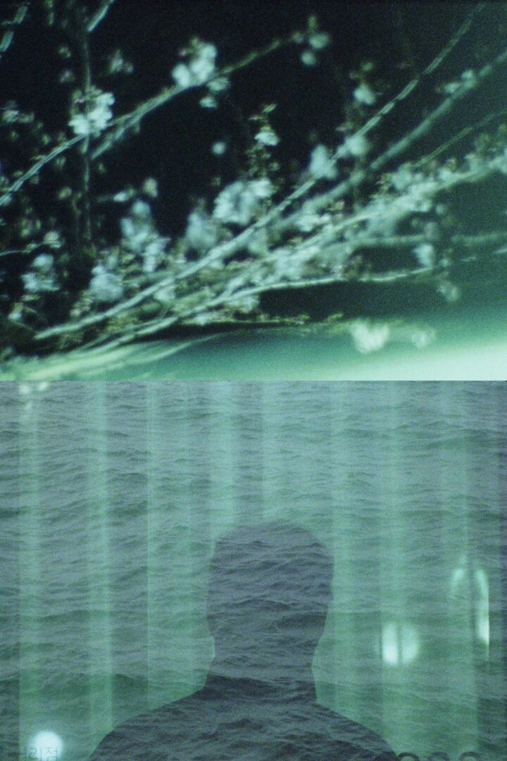The Castaway