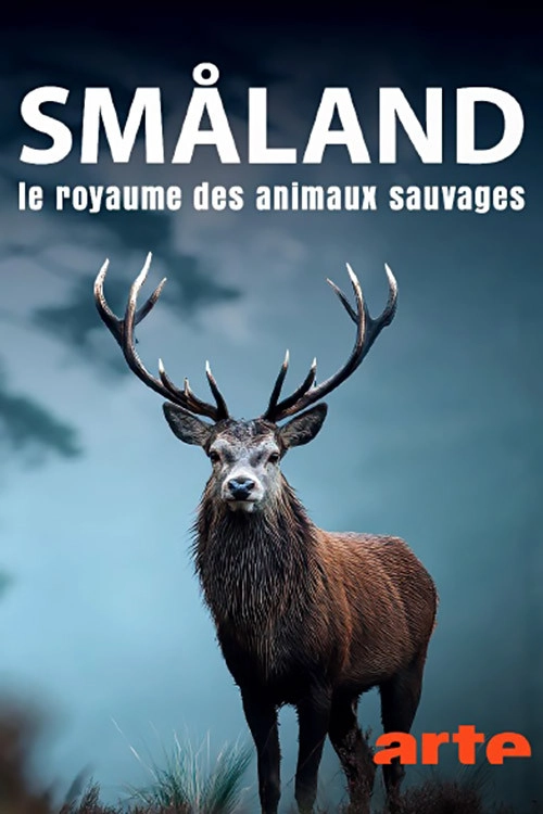 Vilda Småland