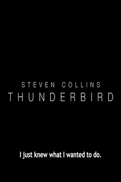 Thunderbird