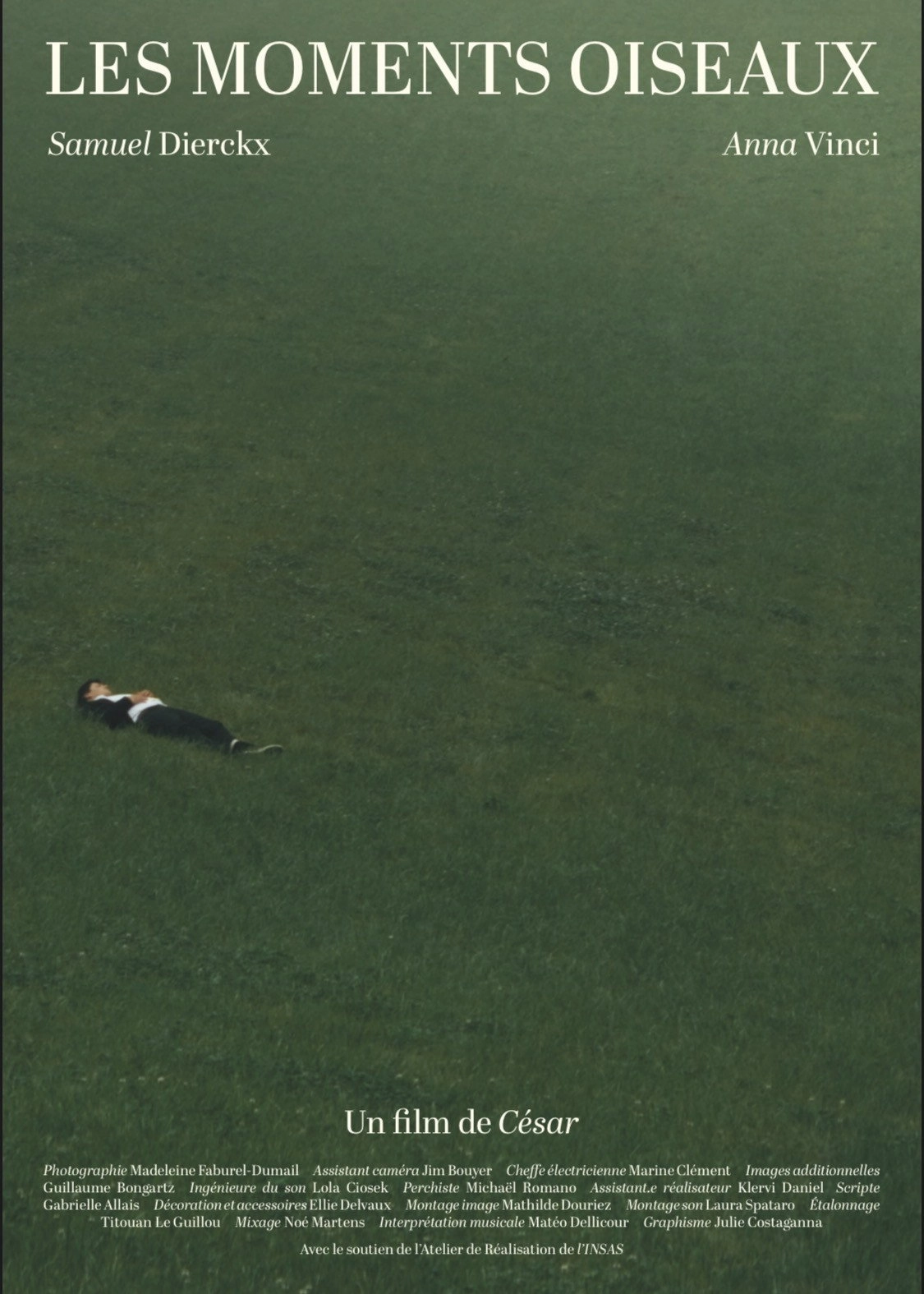 Les Moments Oiseaux