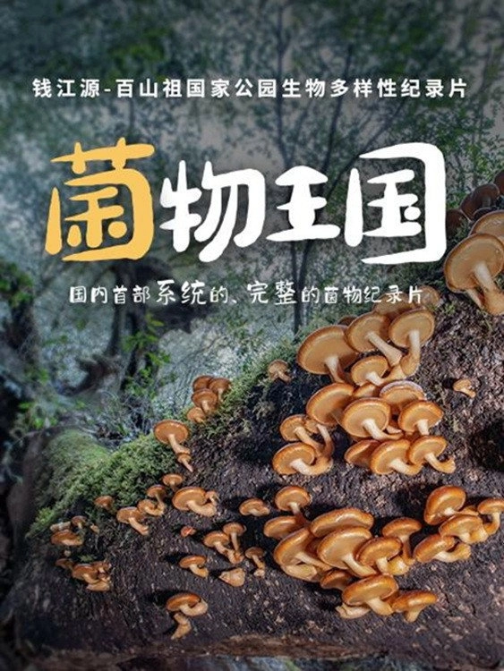 Fungi Kingdom