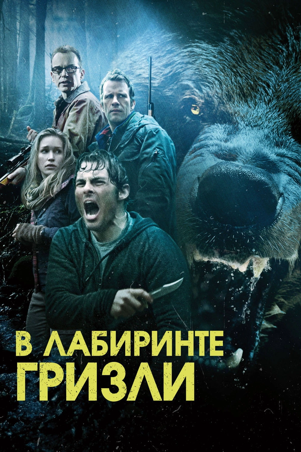 Into the Grizzly Maze