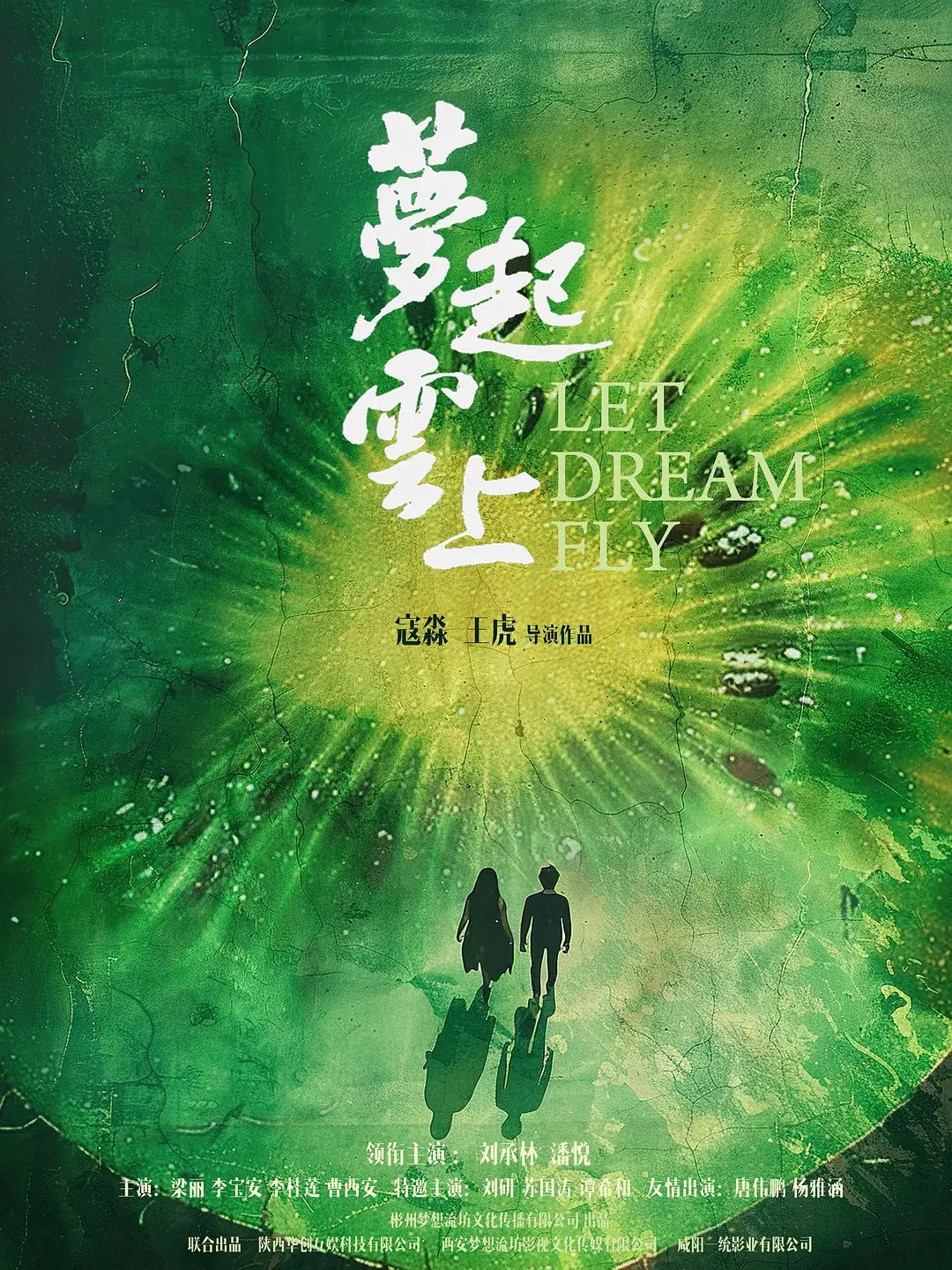 Let Dream Fly