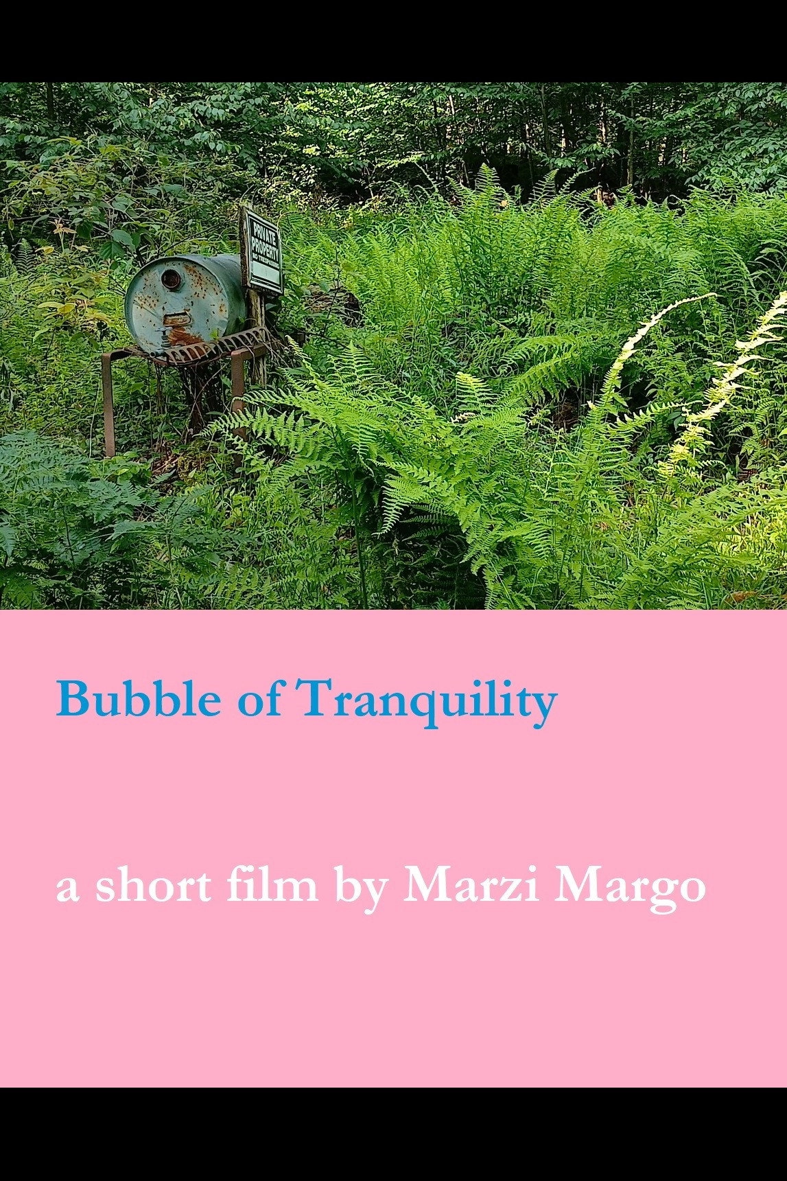 Bubble of Tranquility